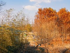 -上海长兴岛郊野公园
