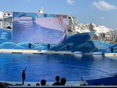-上海海昌海洋公园