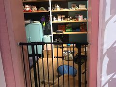 -百好乐宠物友好餐厅(朝外大街店)