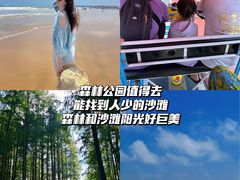 -日照海滨国家森林公园