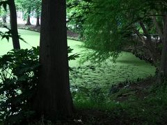 -广富林郊野公园