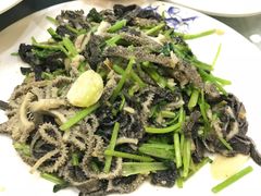 -南来顺饭庄·清真(南菜园店)