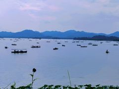 -湖畔居茶楼(湖滨店)