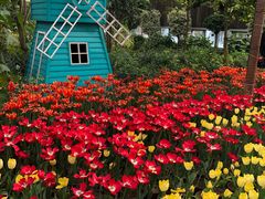 -南宫五洲植物乐园