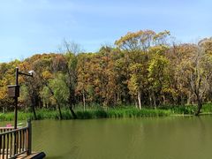 -同里国家湿地公园