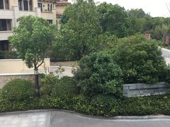 -上海崇明金茂凯悦酒店