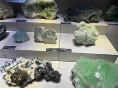 -河南自然博物馆