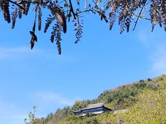 -石老人观光园