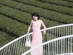-雪绿茶博物馆