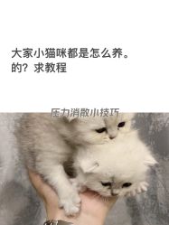 -奈川烫染Salon