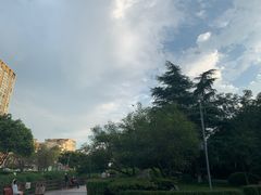 -神仙树公园