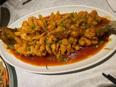 松鼠桂鱼-乾园(天河城店)