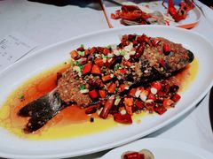 -杨氏青龙虾·羊蝎子(金盛路总店)