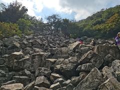 -陶祖圣境风景区