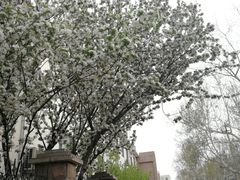 -山东师范大学(千佛山校区)
