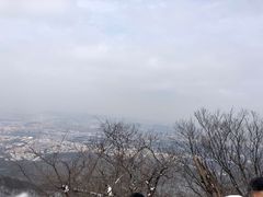 -紫金山天文台