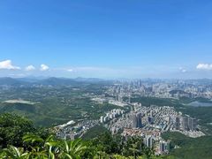 -梧桐山风景名胜区