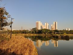 -福田红树林生态公园
