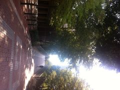 iphone_upload_pic-宾夕法尼亚大学沃顿商学院