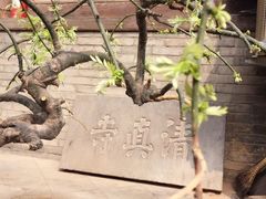 -大学习巷清真寺