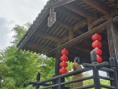 -大唐贡茶院