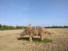 -嘉北郊野公园