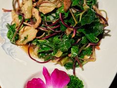 沙参苗炒肉-码头鲜精致威海菜(欧乐坊店)