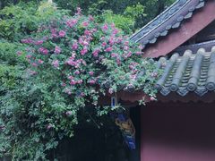 -丰都鬼城名山景区