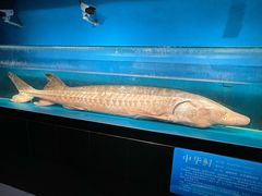 -国家自然博物馆