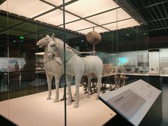 -淮安市博物馆