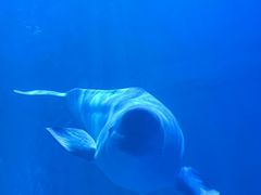 -多彩贵州城极地海洋世界