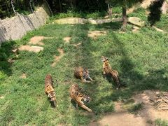 -西霞口神雕山野生动物世界