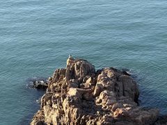 -摩天岭风景区