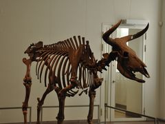 -丹麦国家博物馆