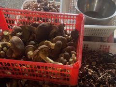 -草墩罗非鱼庄•野生菌•腊排骨(七星街上段店)