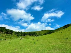 -大姆山草场