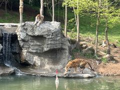 -宁波野生动物园