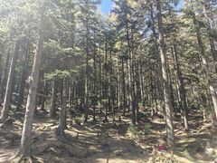 -芦芽山旅游度假区