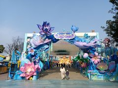 -海合安成都极地海洋公园