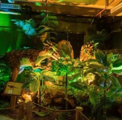 -恐龙探索乐园(磁器口店)