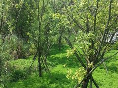 android_upload_pic-西湖风景区-江洋畈生态公园