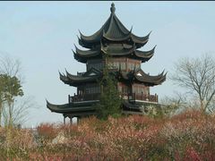 android_upload_pic-上海海湾国家森林公园