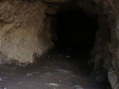 -上海佘山国家森林公园天马山园