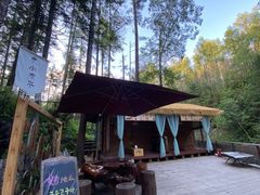 -峡谷浮石林景区