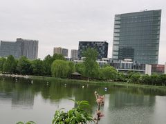 -大兴滨河森林公园