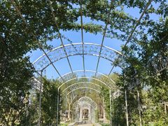 -石家庄市植物园