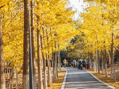 -大蜀山国家森林公园