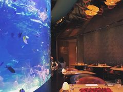 -迪拜帆船酒店海底餐厅