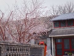 景点-三里河公园