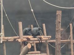 -武汉动物园